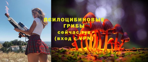 бошки Верхний Тагил